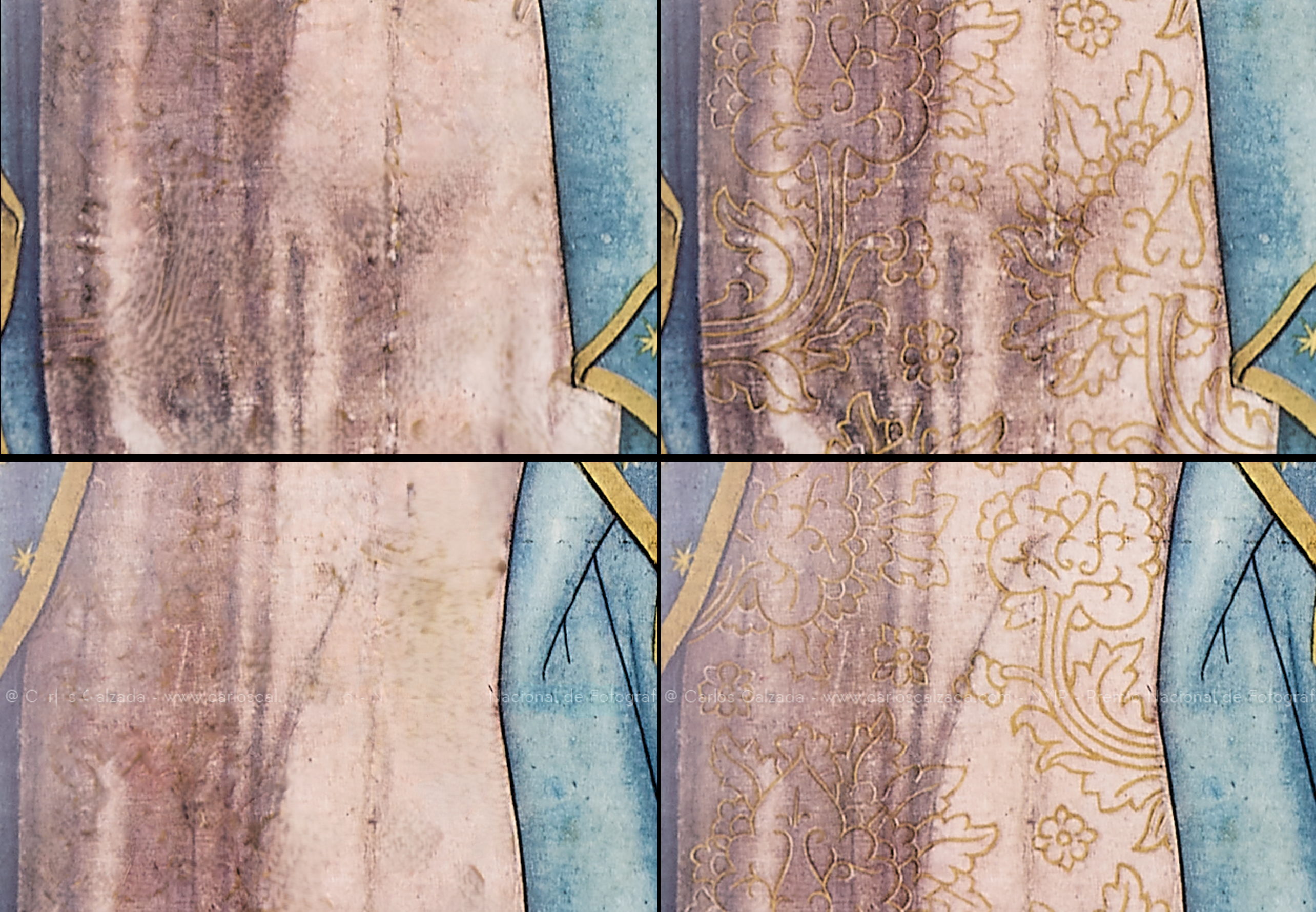 Con y sin flores.png